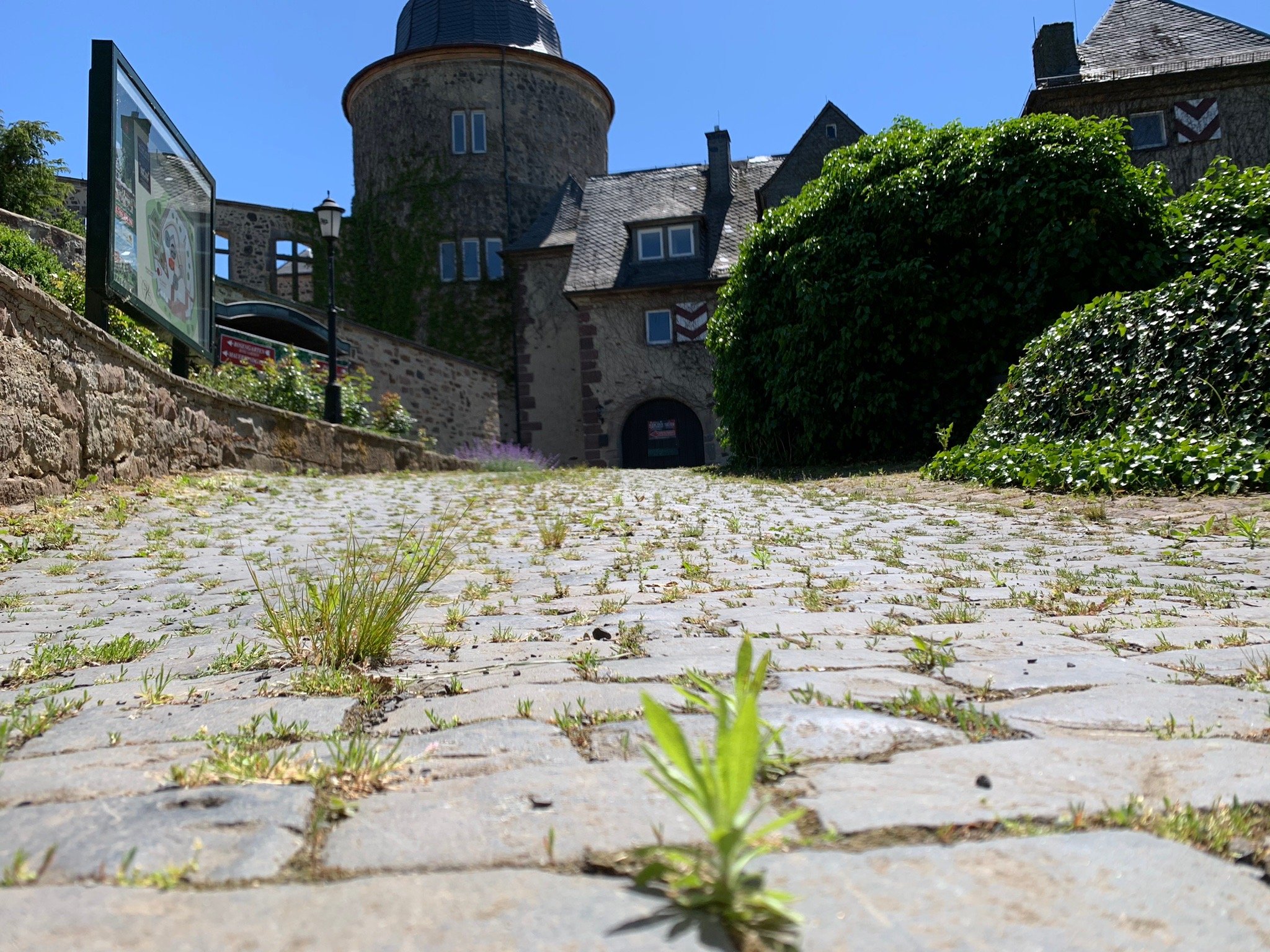 Dornroeschenschloss Sababurg-官方
