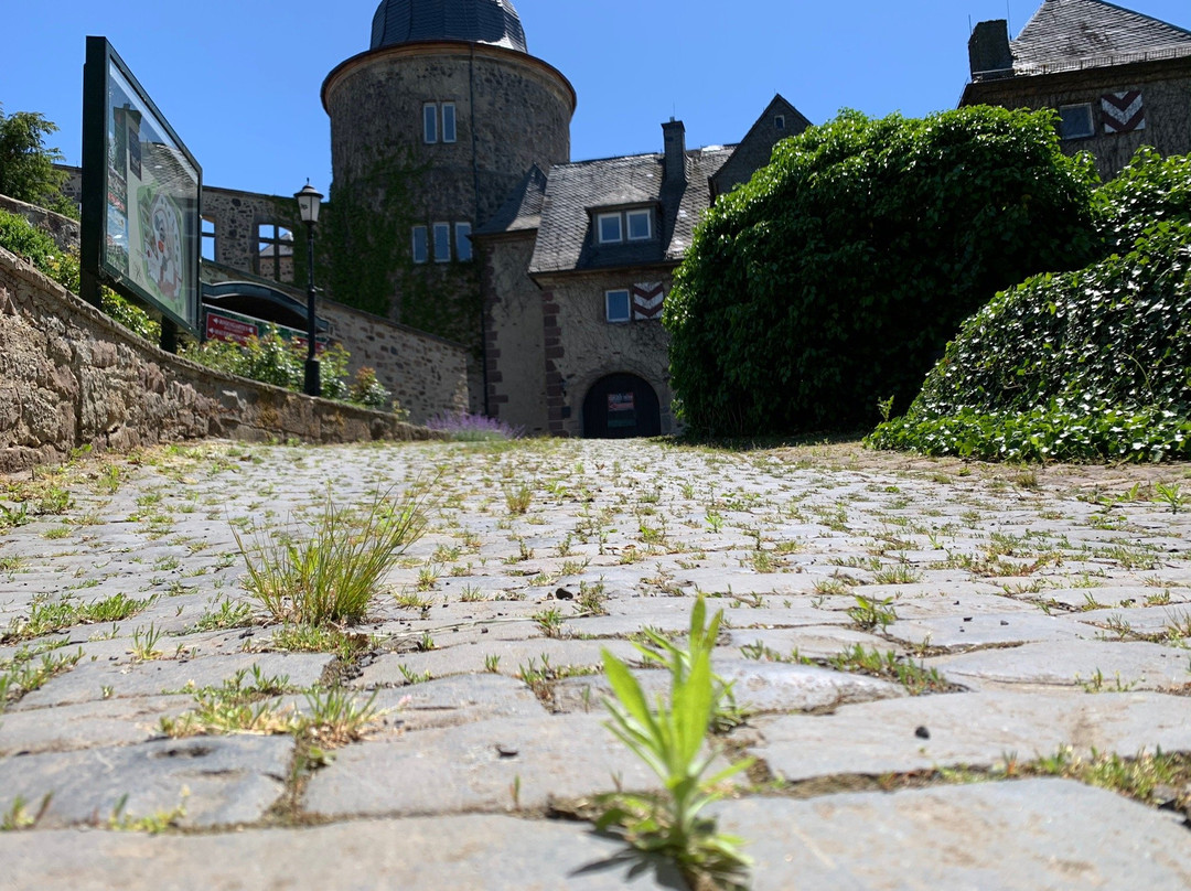 Dornroeschenschloss Sababurg主图