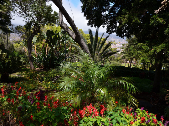 Quinta Vigia-沙尔必去景点