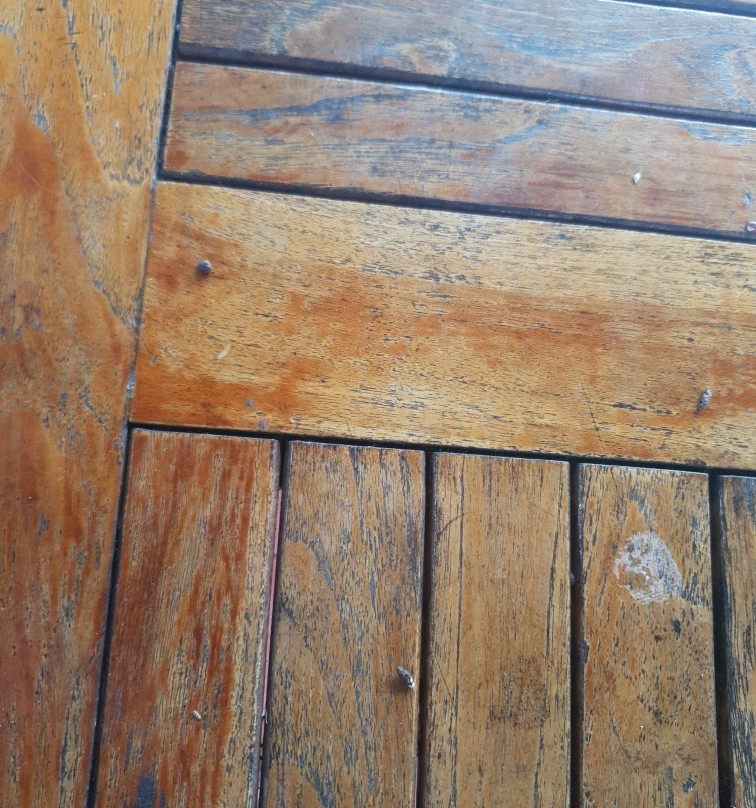 维洛艾洛海滩度假村主图