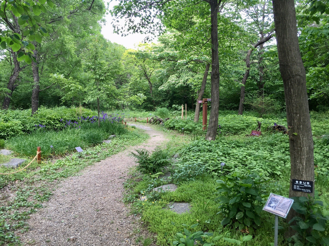 Kicheongsan Botanical Gardens-浦项市必去景点