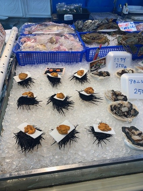 Fish Center-糸满市必去景点