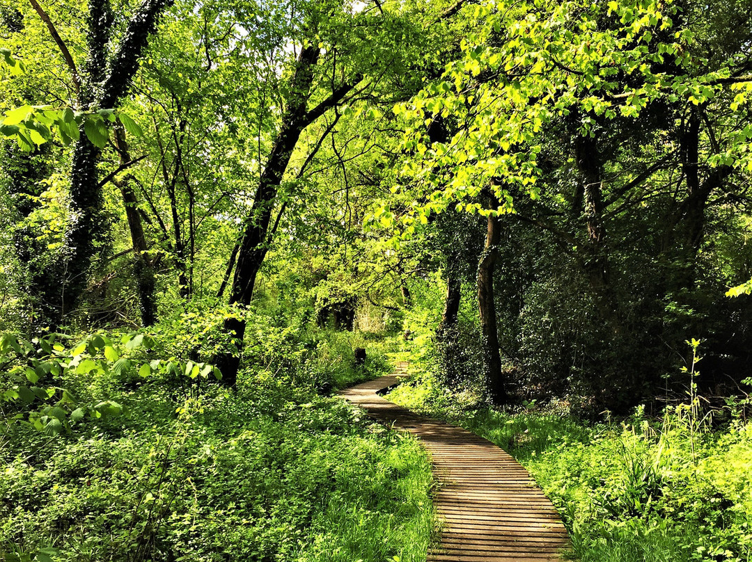 Crane Valley Local Nature Reserve景点图片