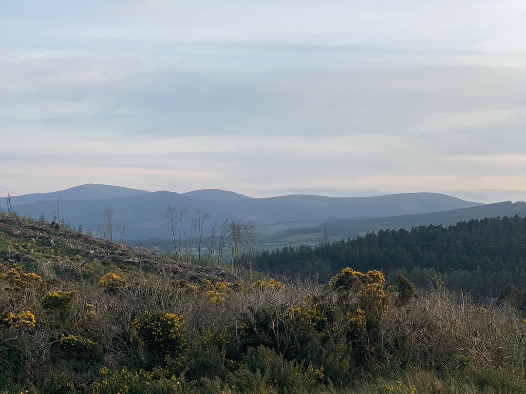 Ballycorus Lead Mines-Shankill必去景点
