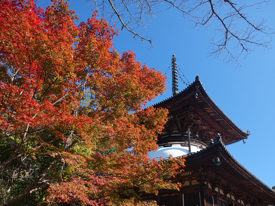 Negoro-ji Temple-岩出市必去景点