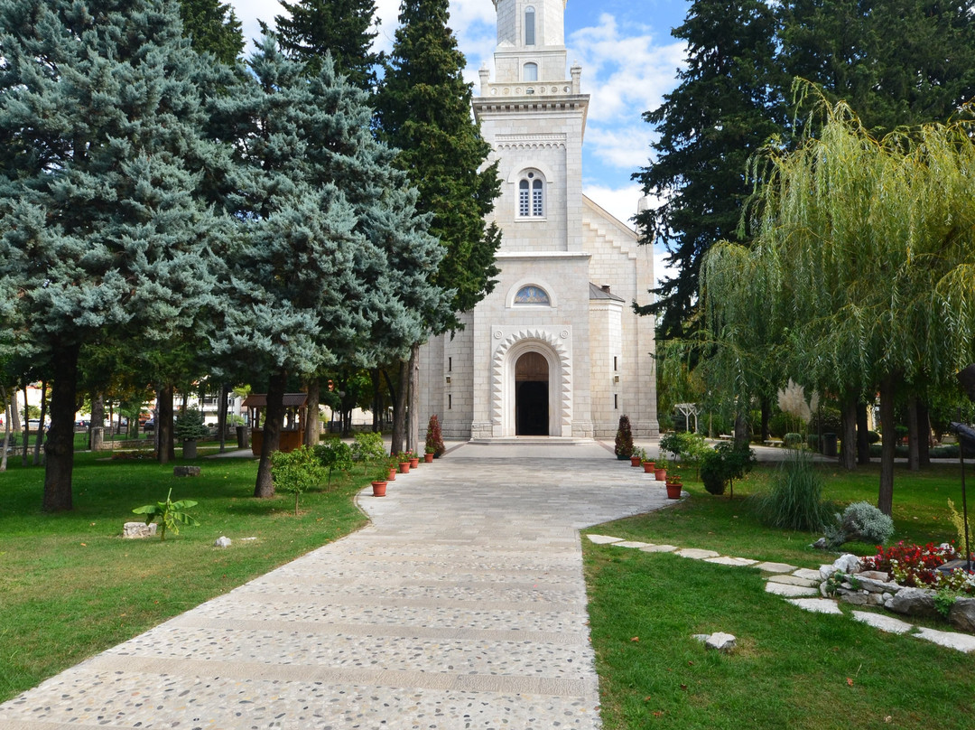 Holy Transfiguration Orthodox Cathedral景点图片