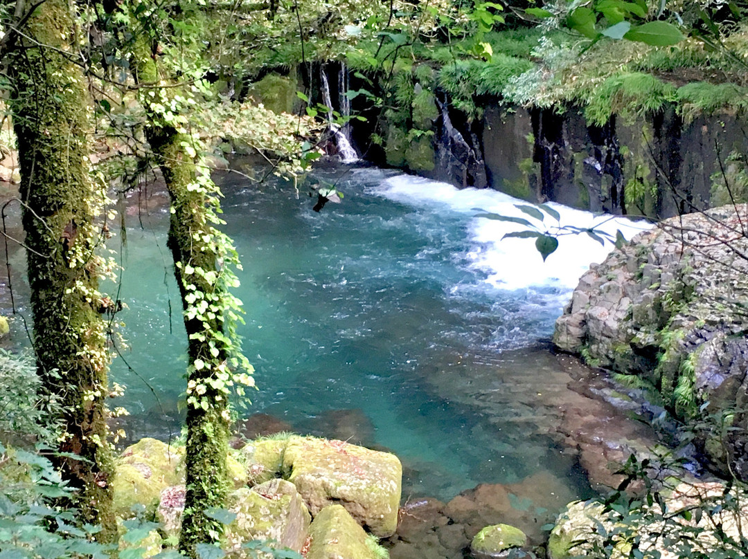 Kikuchi Gorge景点图片