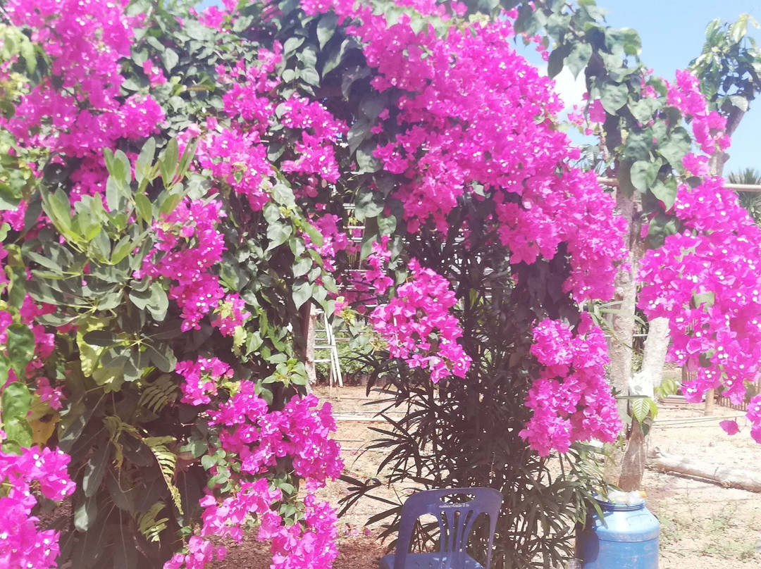 Khanom Tour Thailand景点图片