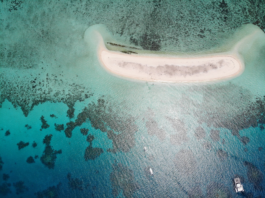 Reef Runner Charters景点图片