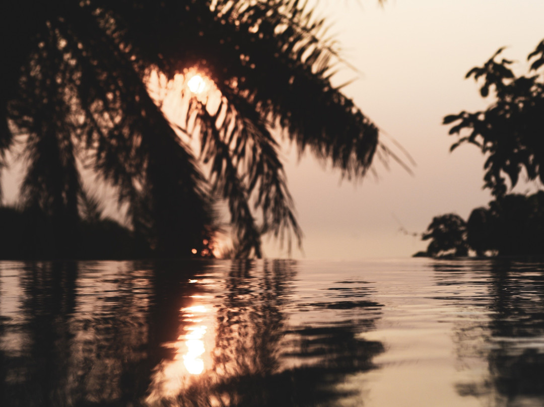 Yin Yoga Therapy Training-Morjim必去景点