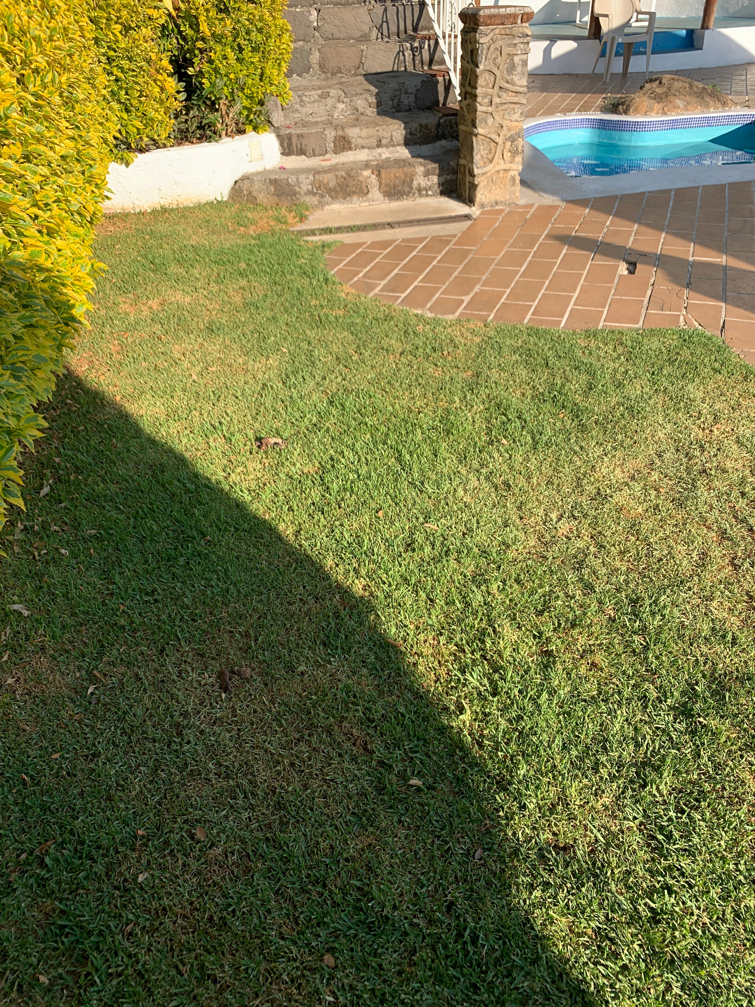 Cabanas Revi Inn-家庭/游戏区