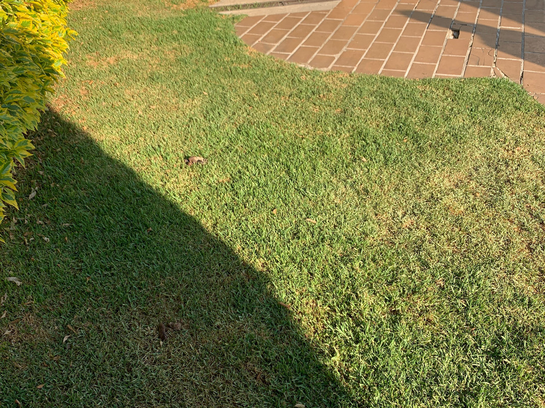 Cabanas Revi Inn主图