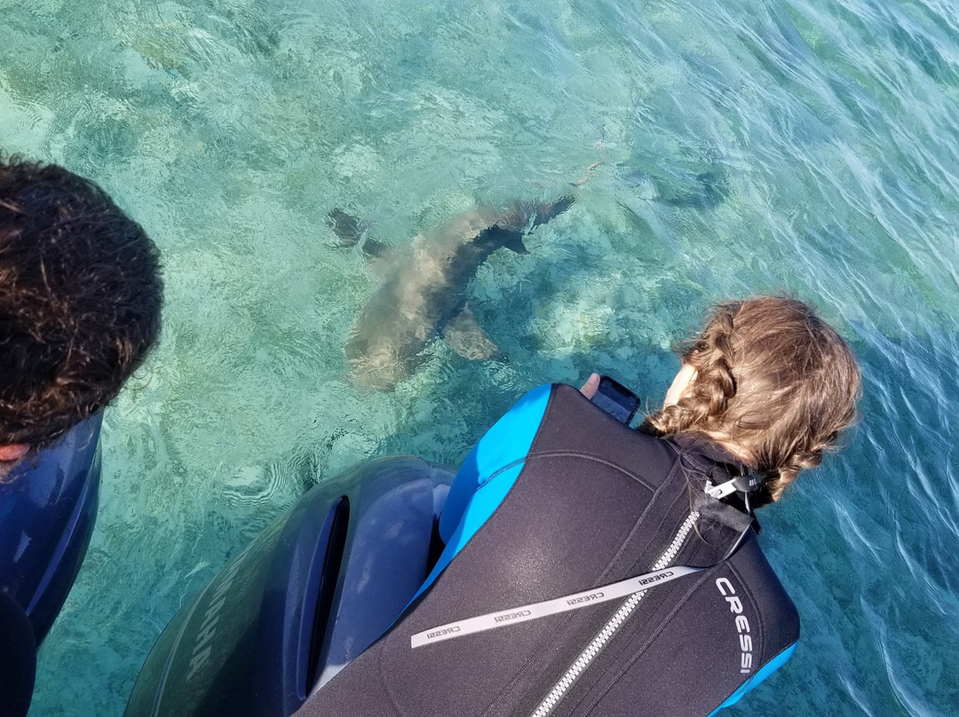 The Silent Hunter Group-Andros必去景点