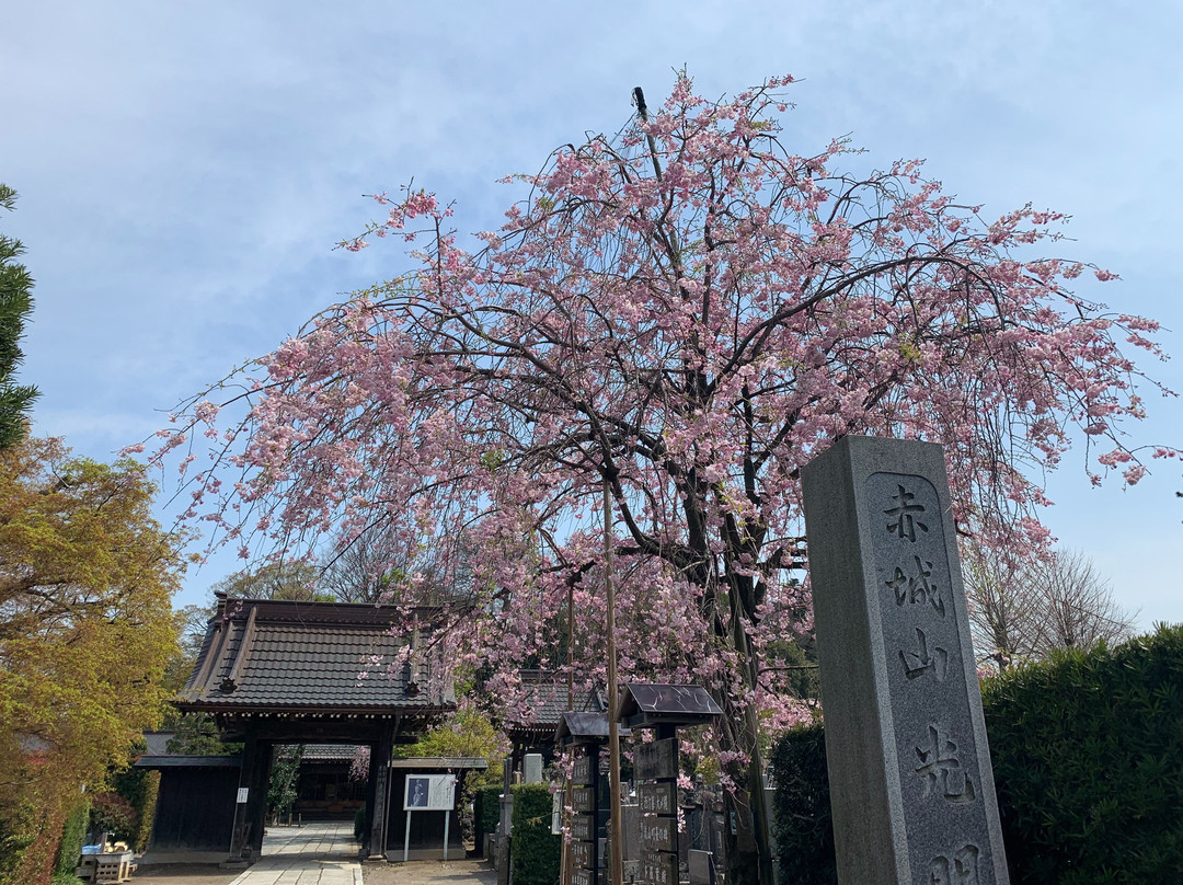 Komyoin Temple-流山市必去景点