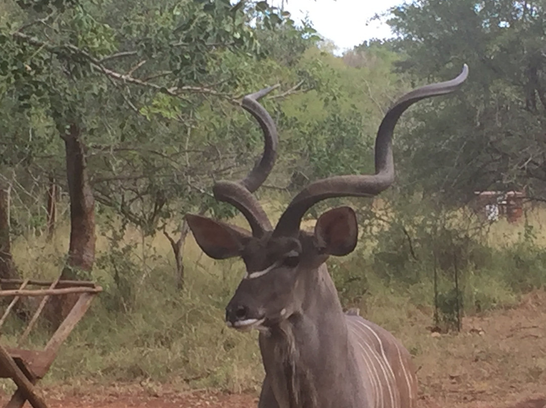 Flight of the Eagle Safaris & Tours-三图里恩必去景点