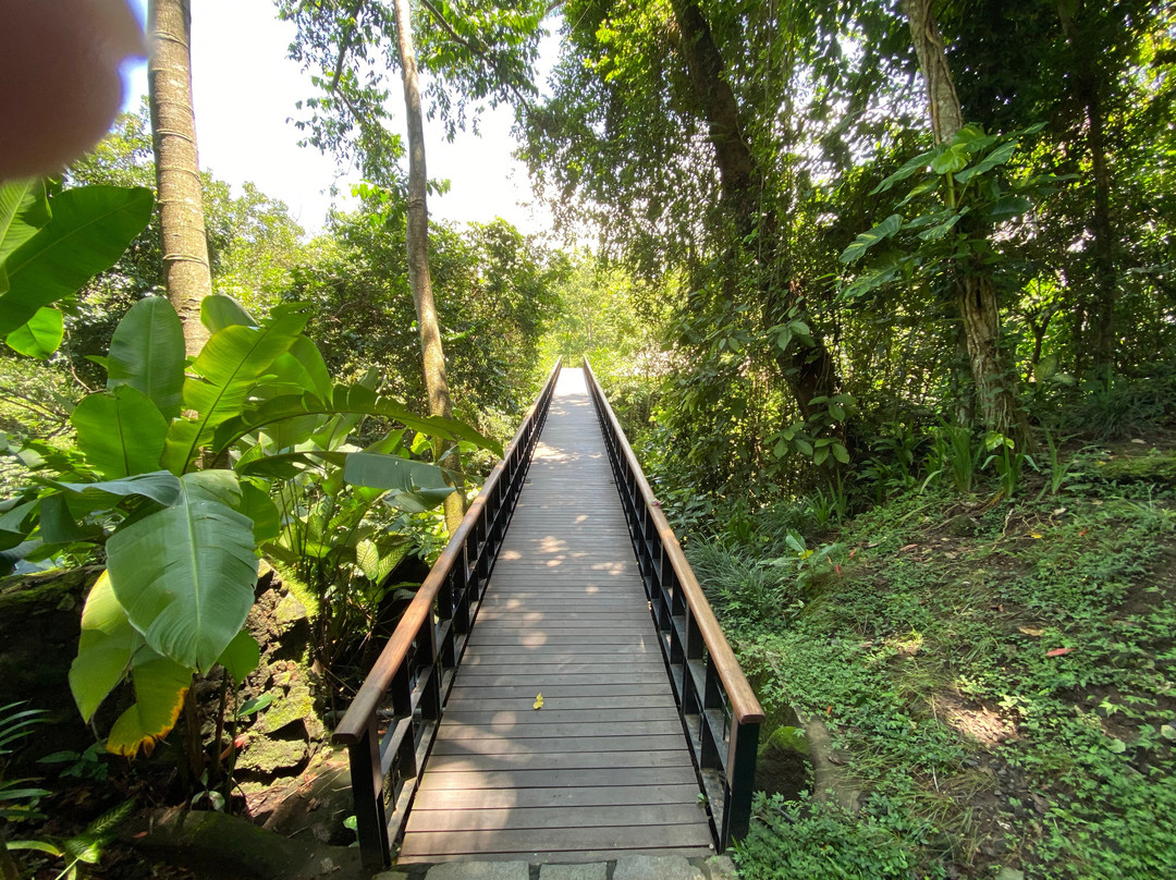 乌布肉桂水疗-乌布必去景点