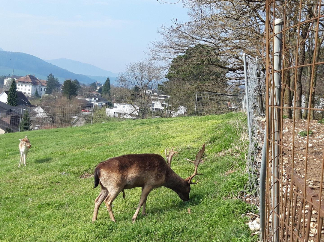 Parc Des Boulaines-德莱蒙必去景点