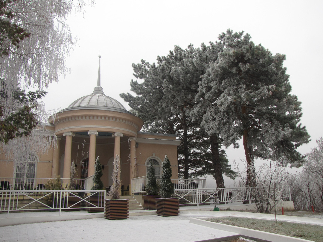 Monument Lermontov M.Yu.景点图片