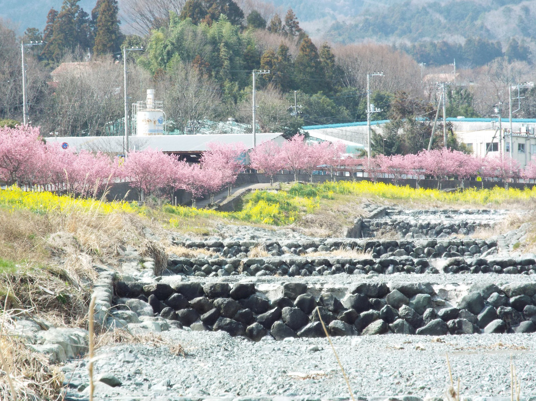 Mizunashi River-秦野市必去景点