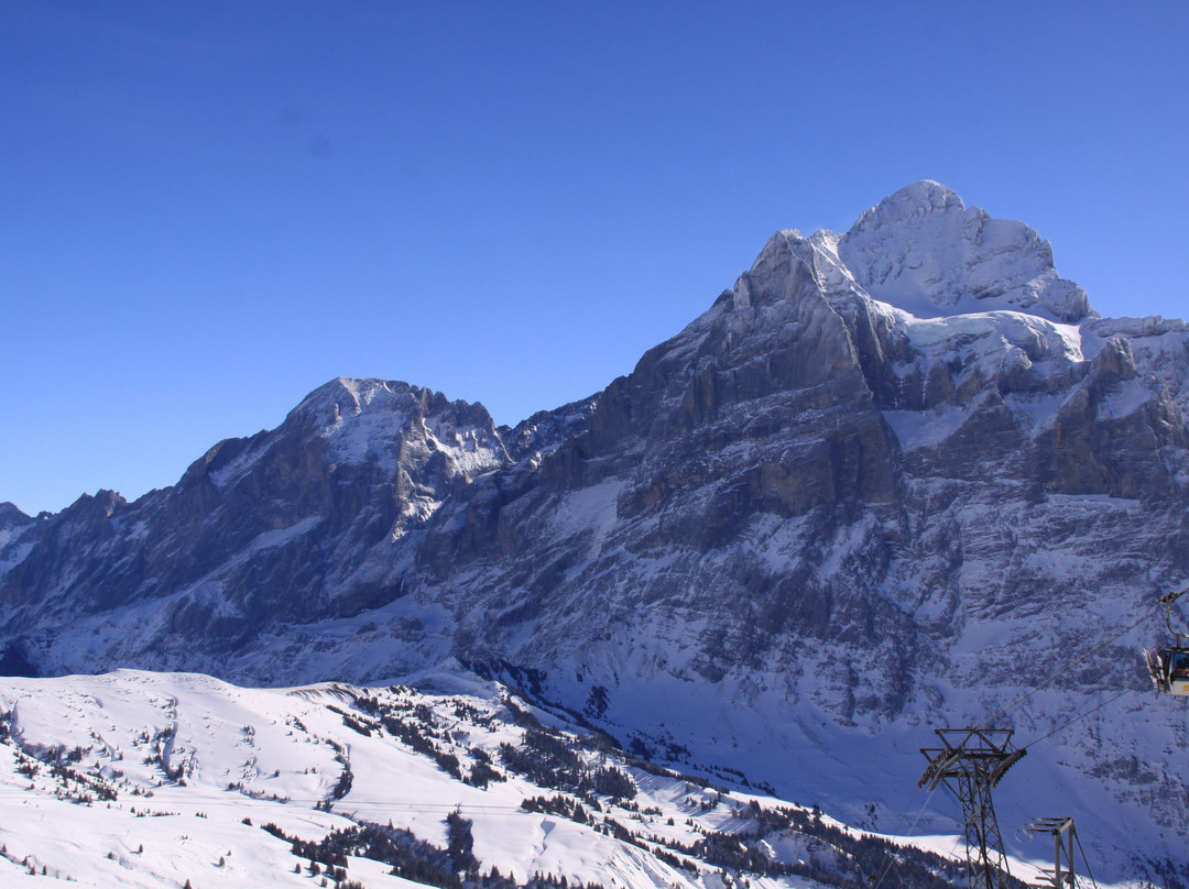 The Wetterhorn-格林德瓦必去景点