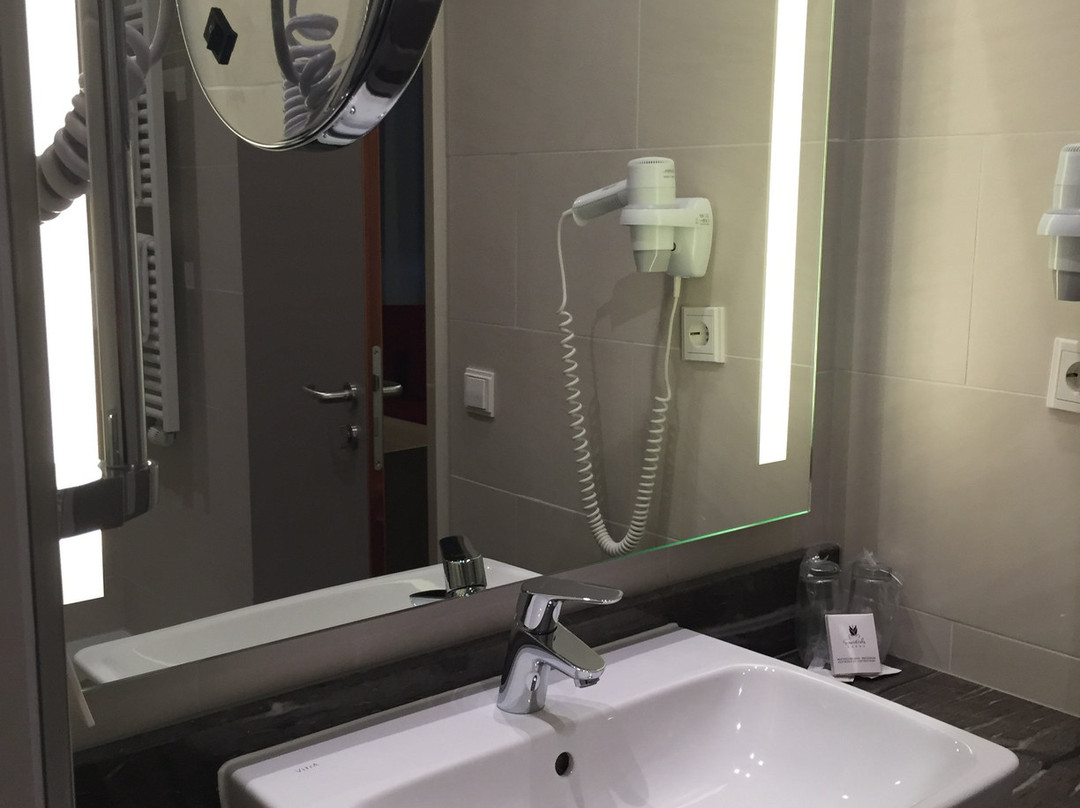 Best Western Hotel Dreilaenderbruecke主图