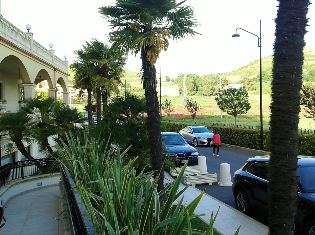 Federico II Palace Hotel主图