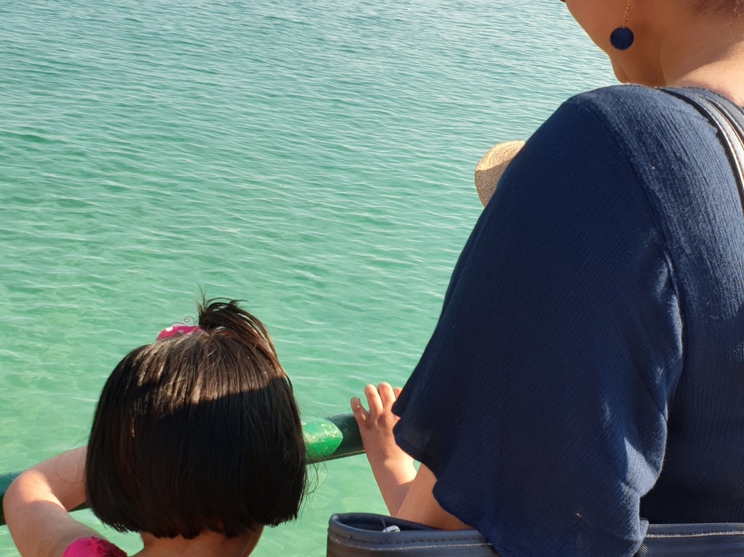 Netaji Subhash Chandra Bose Island-布莱尔港必去景点