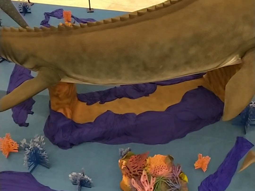 Shopping Bosque Grao Para-贝伦必去景点