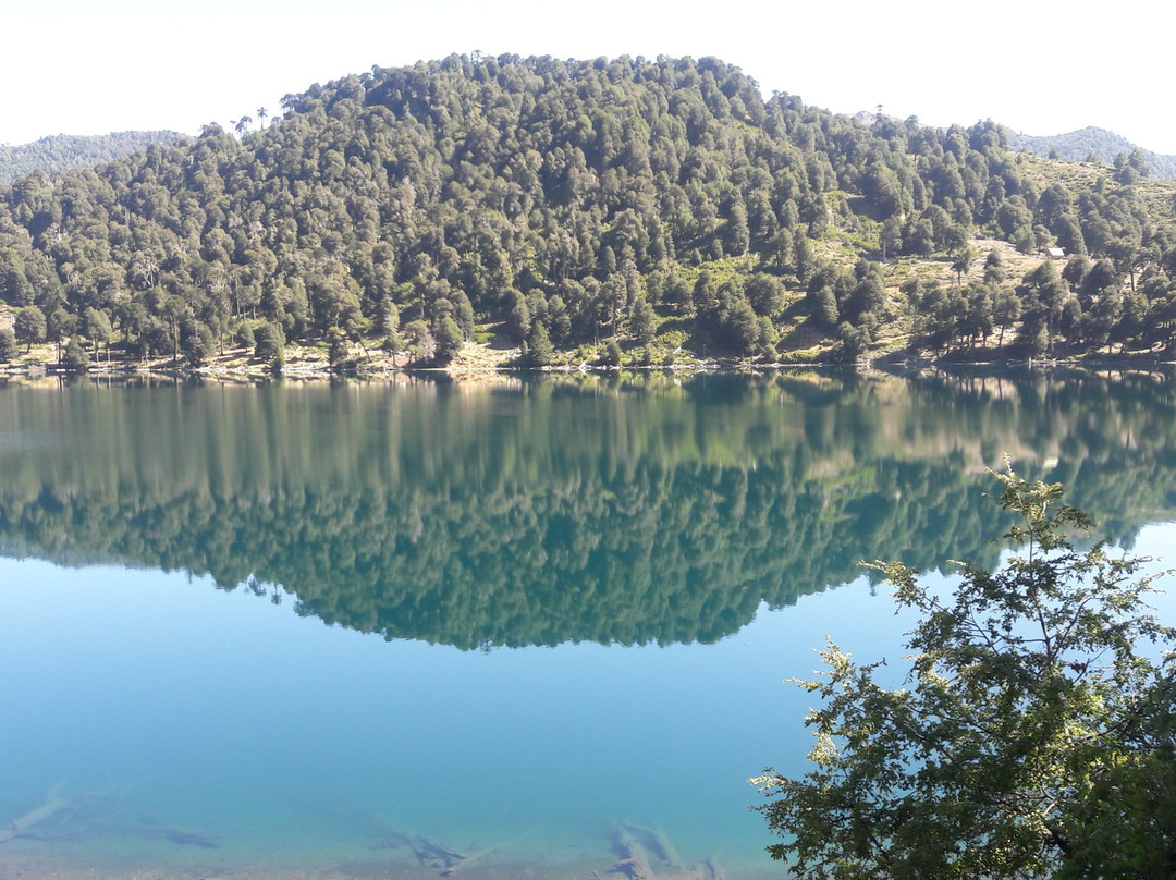 Laguna Icalma景点图片