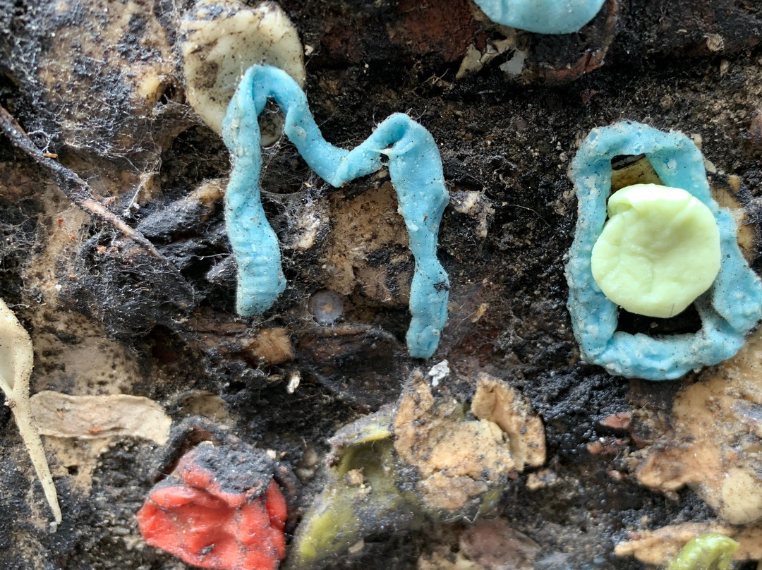泡泡糖小巷景点图片