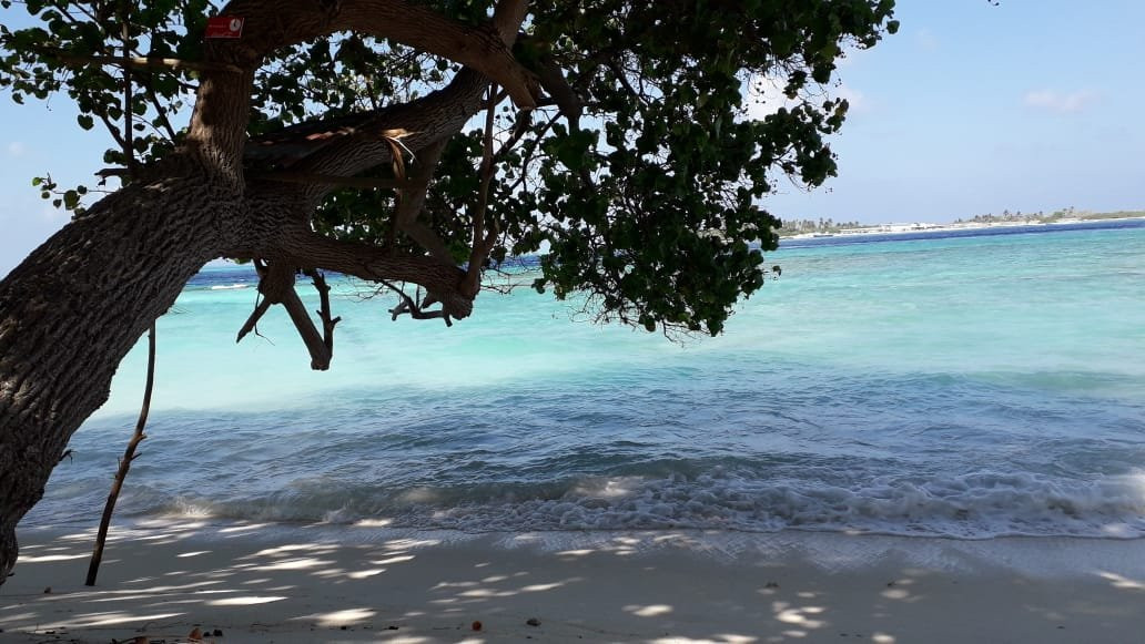 Bikini Beach-Thulusdhoo Island必去景点