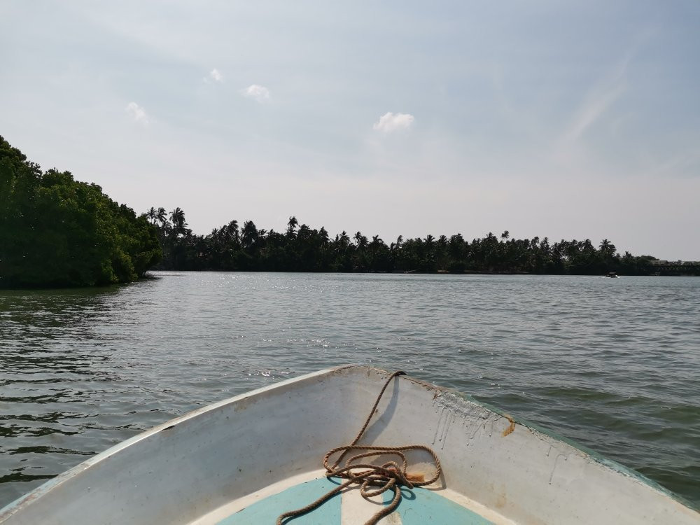 Koggala Lake景点图片