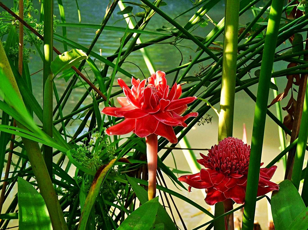 清迈湄沙兰花园-清迈必去景点
