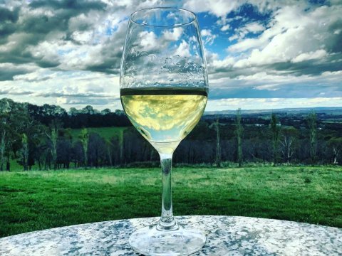 Borrodell Vineyard-酒店景观