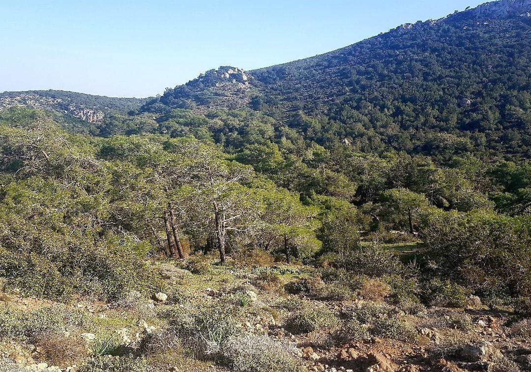 Smigies Nature Trail-城邦必去景点