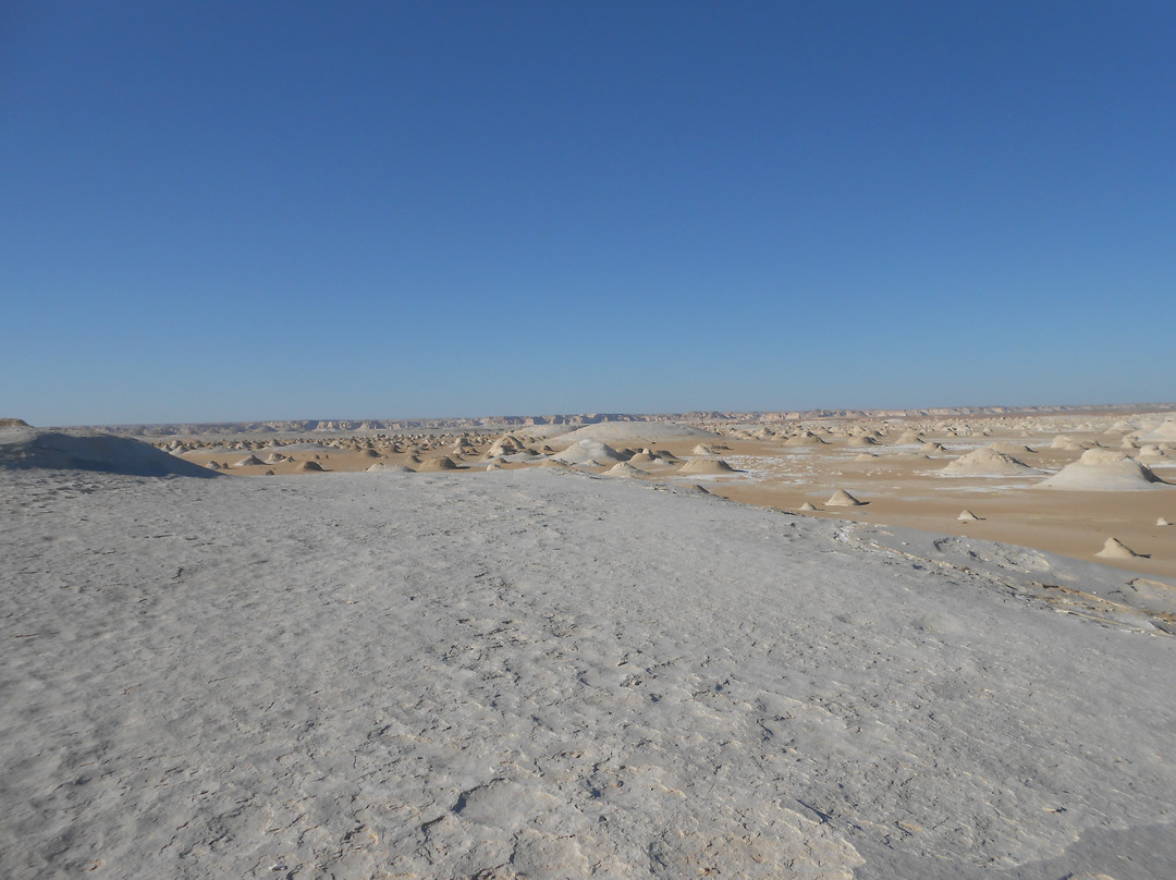 White Desert景点图片