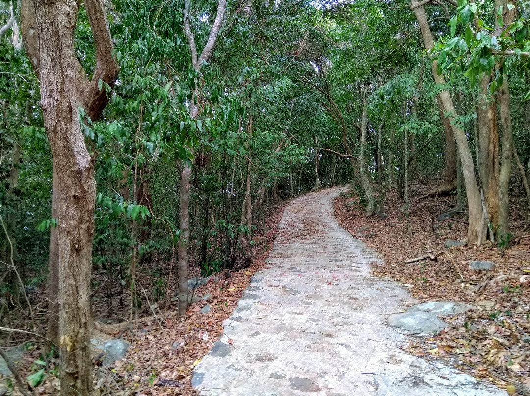 Con Dao National Park-昆山岛必去景点
