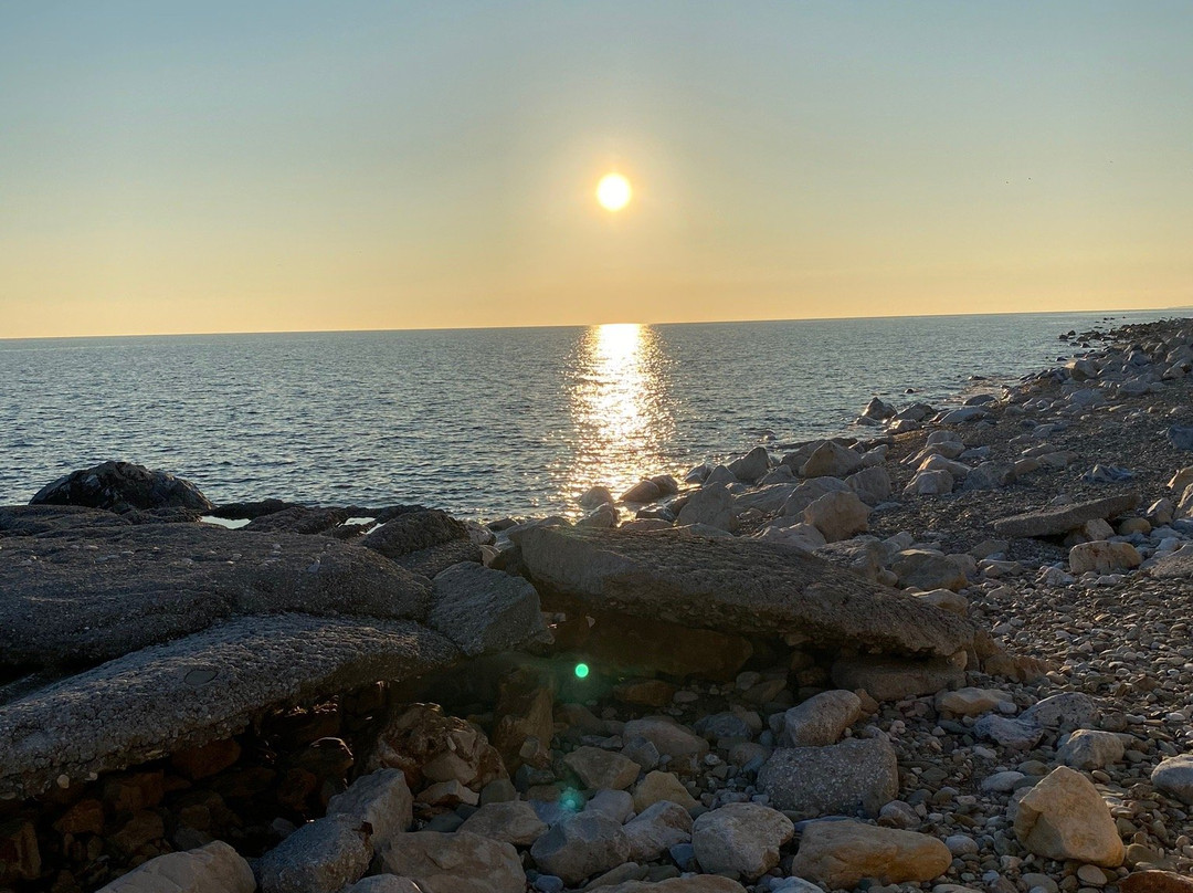 埃里卡酒店主图