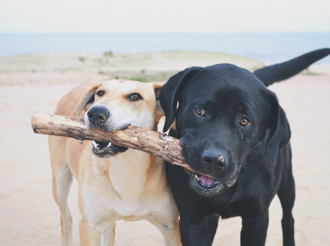 Remanso del Diablo主图