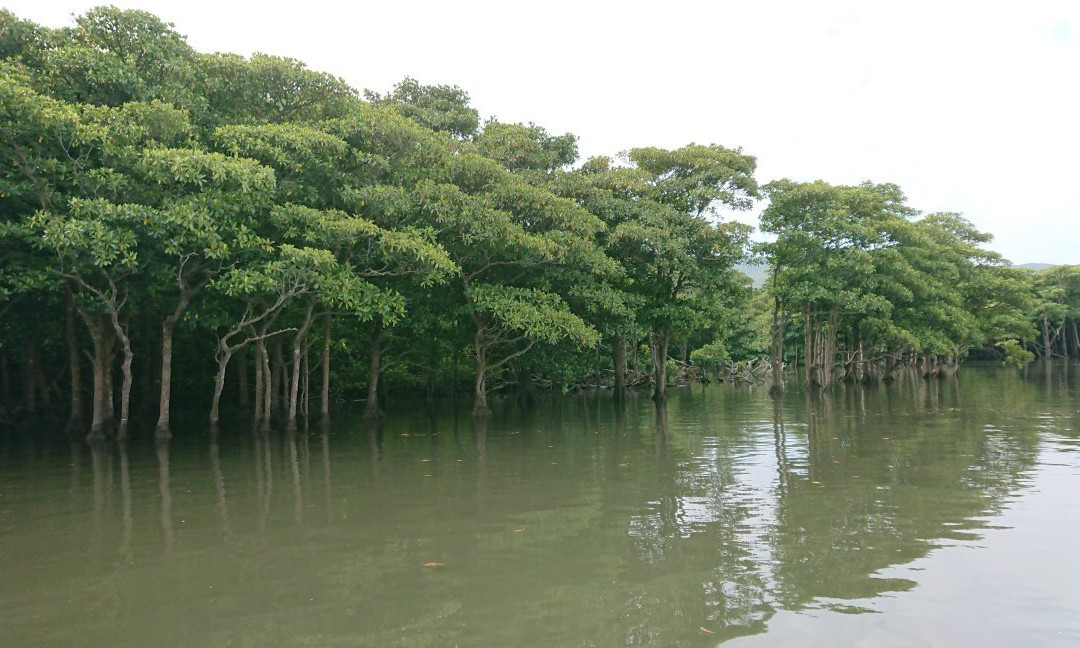 Nakama-river Protected Region景点图片