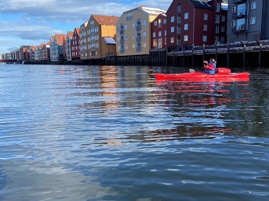 Trondheim Kajakk景点图片