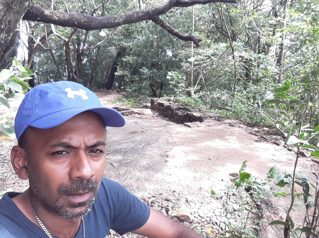 Lanka Inora Travels-佩拉德尼亚必去景点