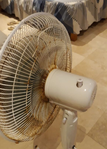 Bali Hai Bungalows主图