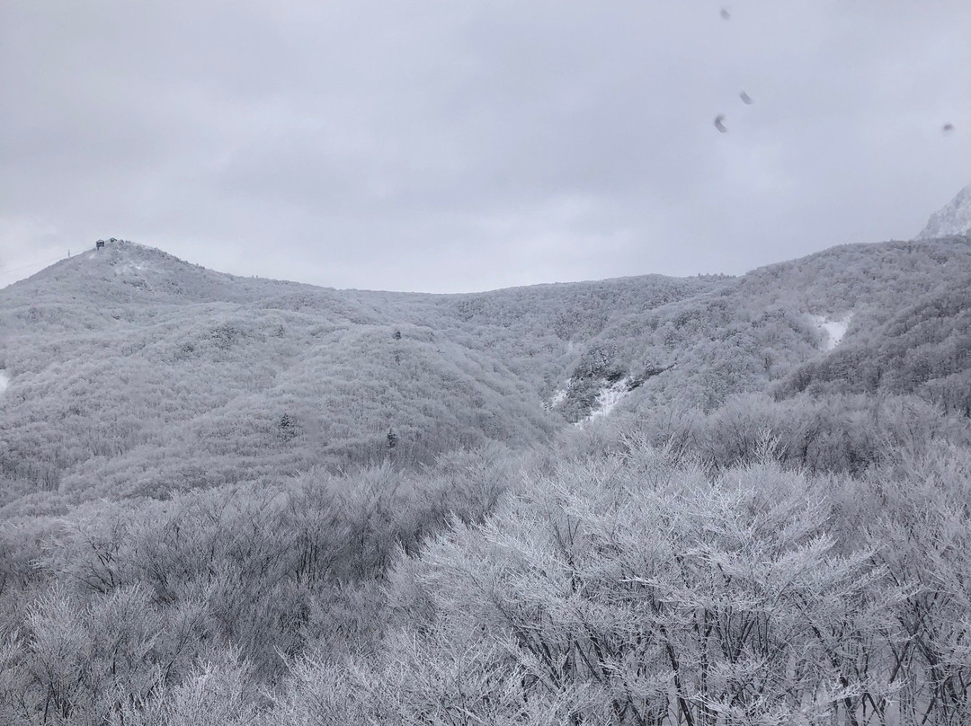 Sumikawa Snow Park景点图片