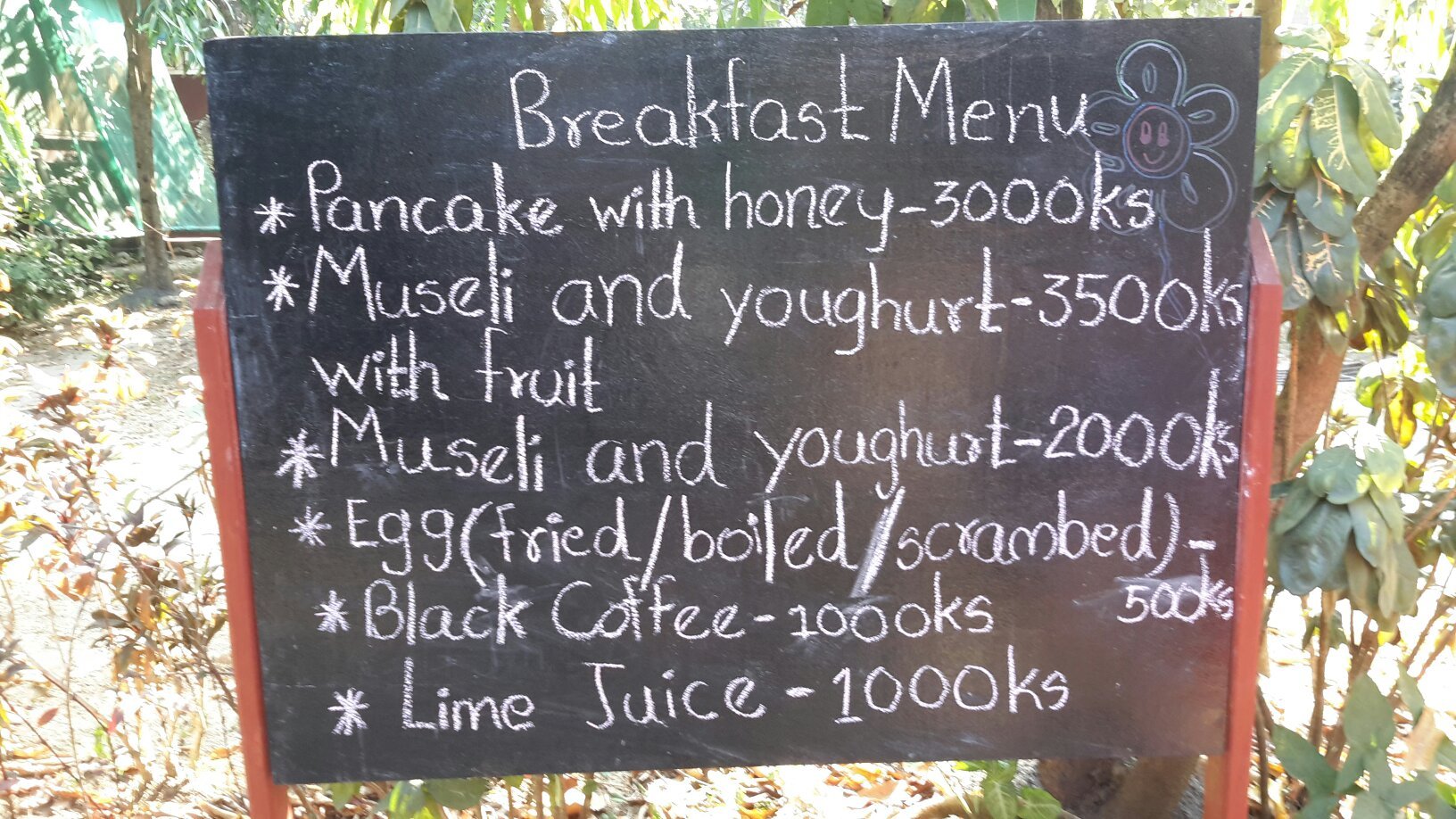 Coconut Guest House-官方