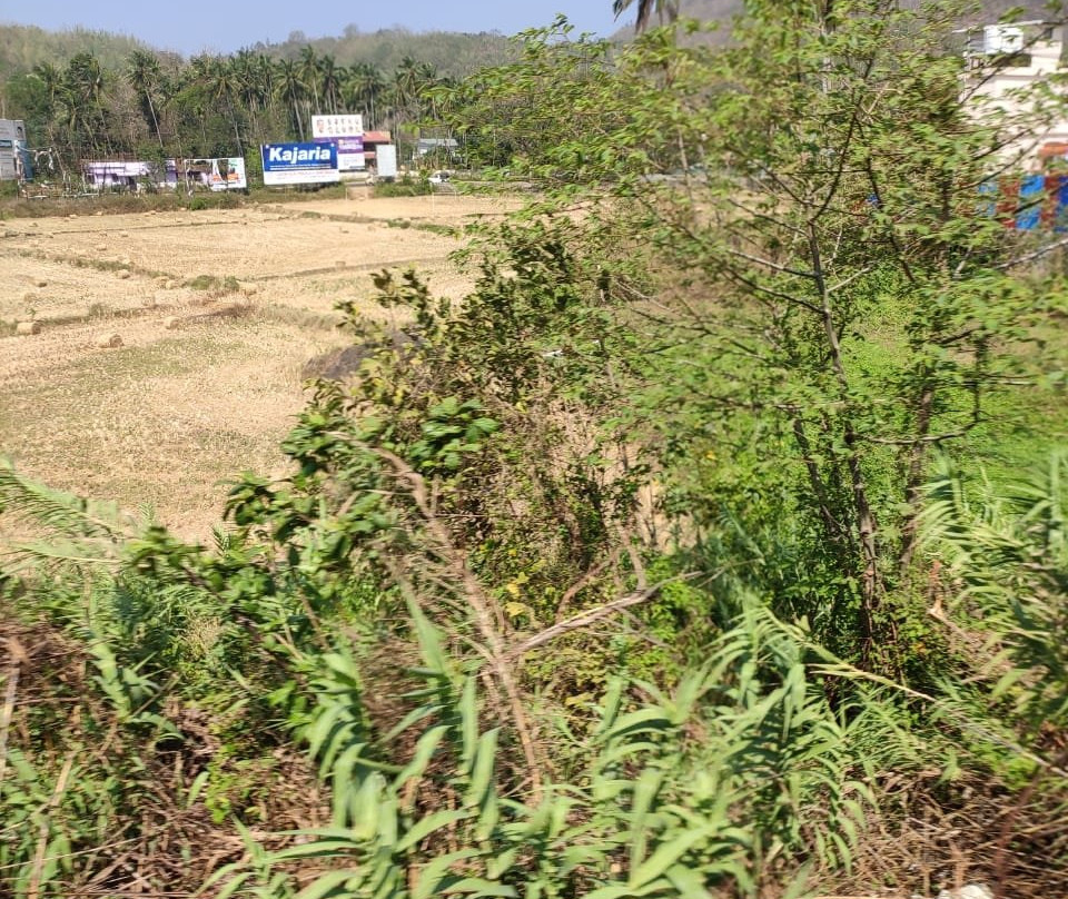 Tirumala Temple景点图片