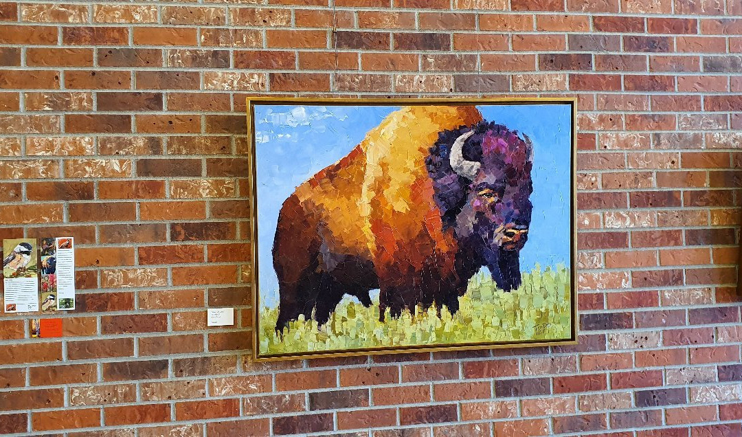 Bozeman Public Library-博兹曼必去景点