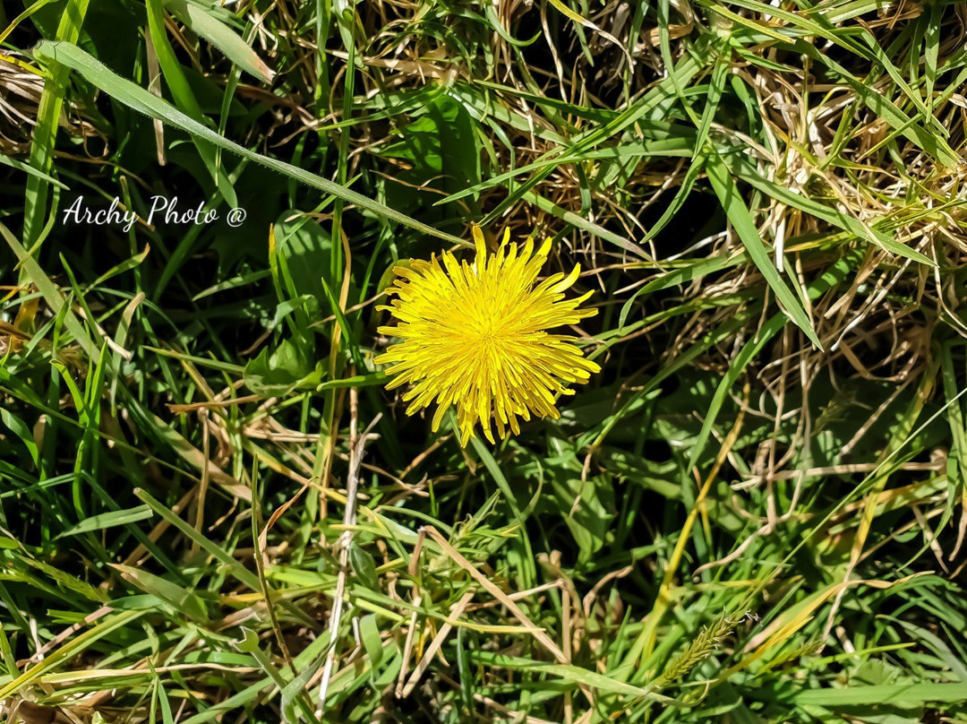 Iglesia de San Felix-Salamina必去景点