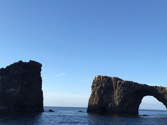 Anacapa Island-峡岛国家公园必去景点