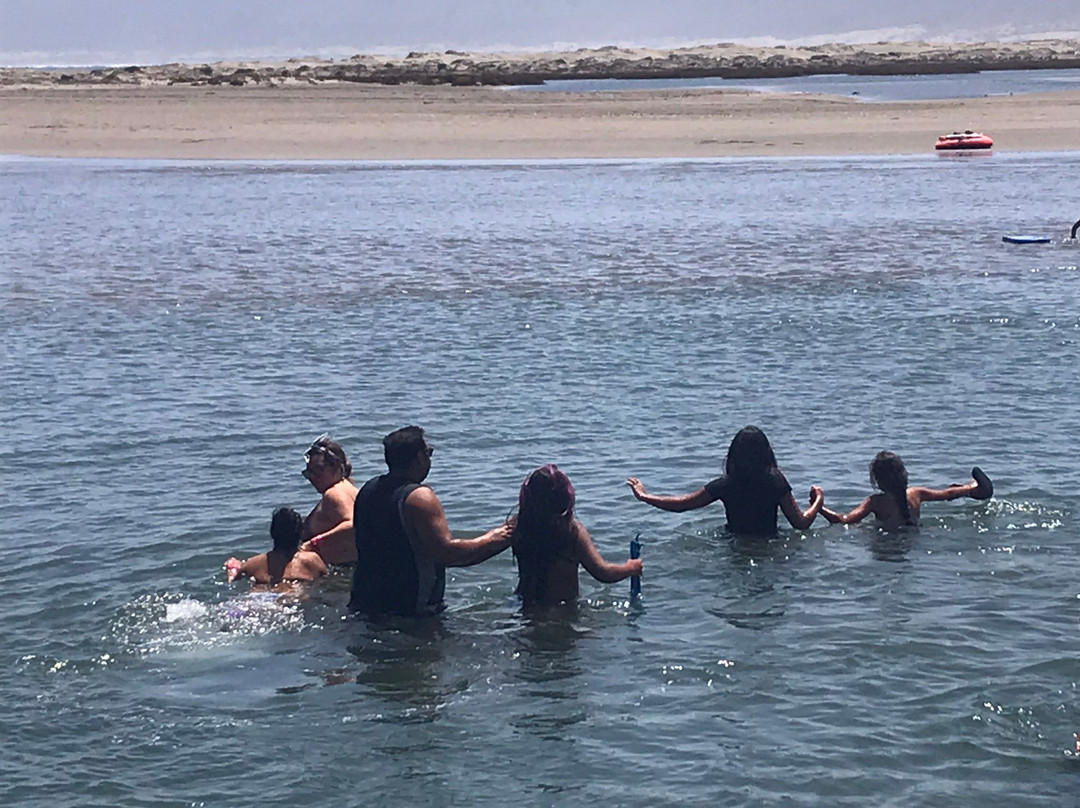 Salinas de Pullally-Papudo必去景点